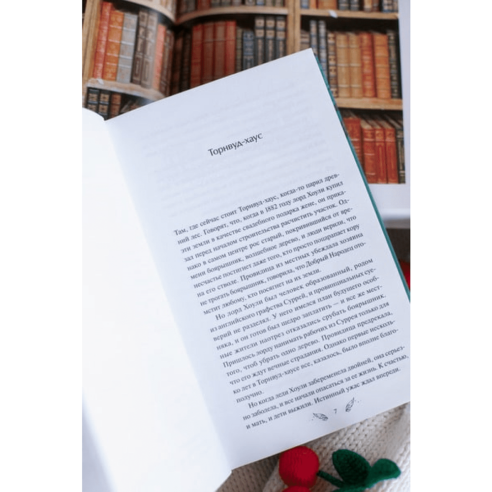 Книга "Собиратель историй", Иви Вудс - 2