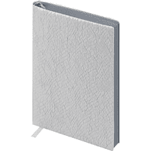 Ежедневник недатированный "Аспид Глосс", А6+, 320 страниц, линейка, серый