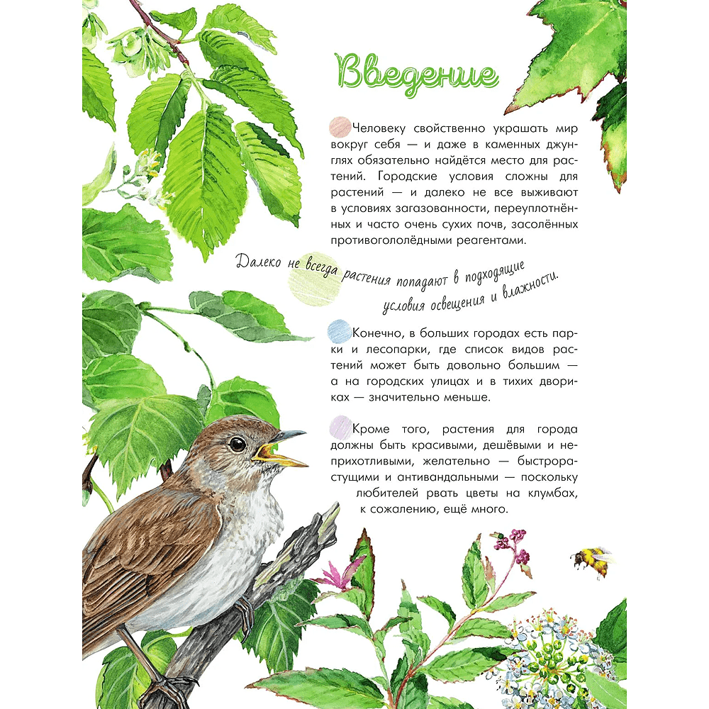 Книга "Растения в городе", Ирина Пескова - 7