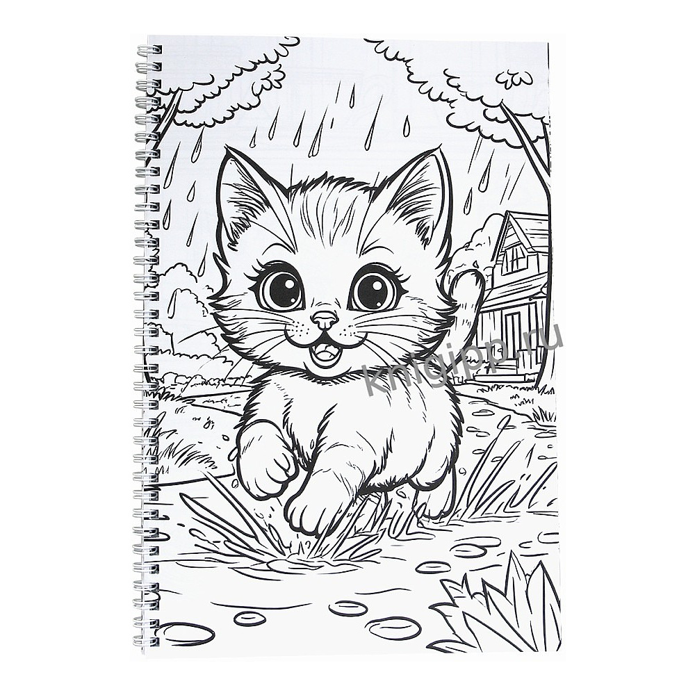 Раскраска "100 картинок. Котики" - 2