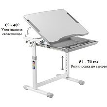 Комплект Ergosmart ученический Smart B207EDU: комплект мебели (парта и стул) B207EDU, чехол декоративный на стул Т13