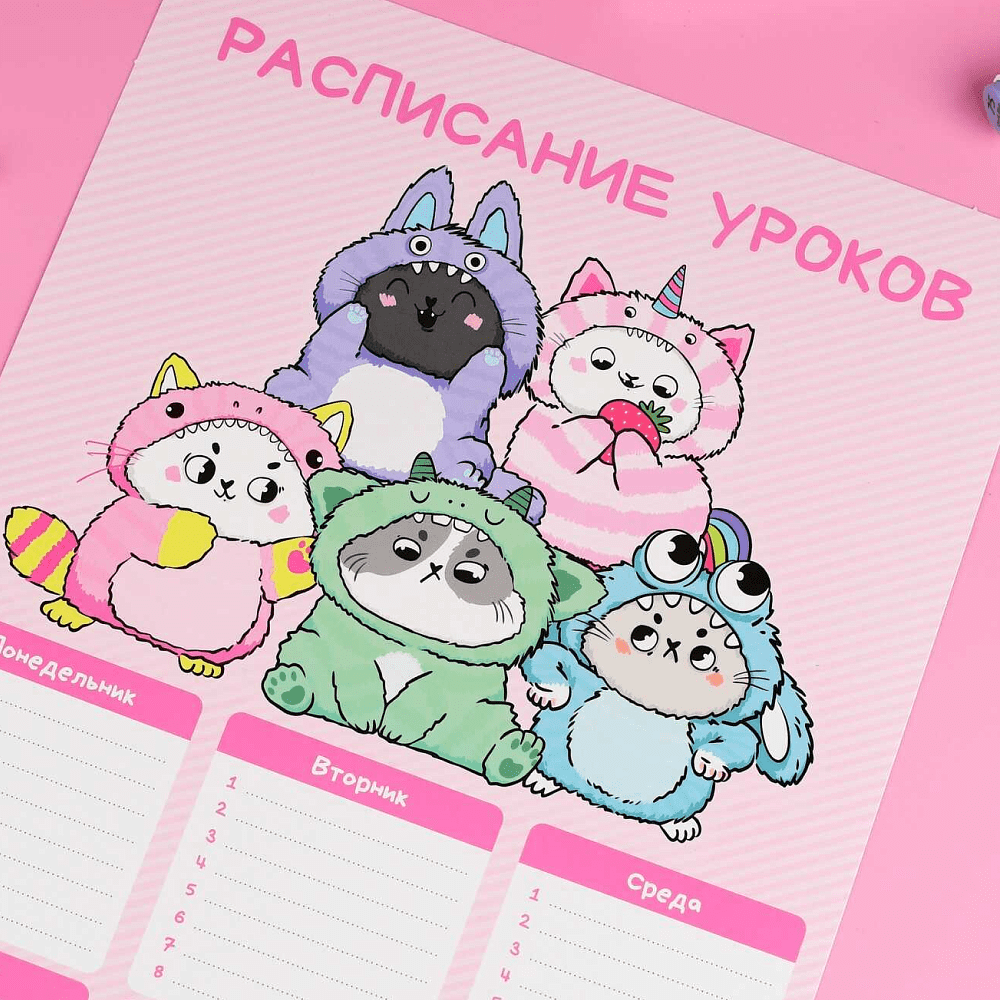 Расписание уроков "Котята в кигуруми", А4, розовый, белый - 2