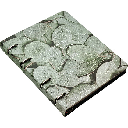 Тетрадь "Botanica эвкалипт популус", А5, 120 листов, клетка, зеленый - 2