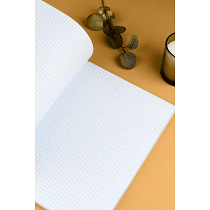 Тетрадь "Прерии", А4, 80 листов, бежевый - 10