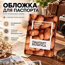 Обложка для паспорта "Pantone", натуральная кожа, разноцветный
