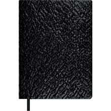 Ежедневник недатированный "Аспид Глосс", А6+, 320 страниц, линейка, черный