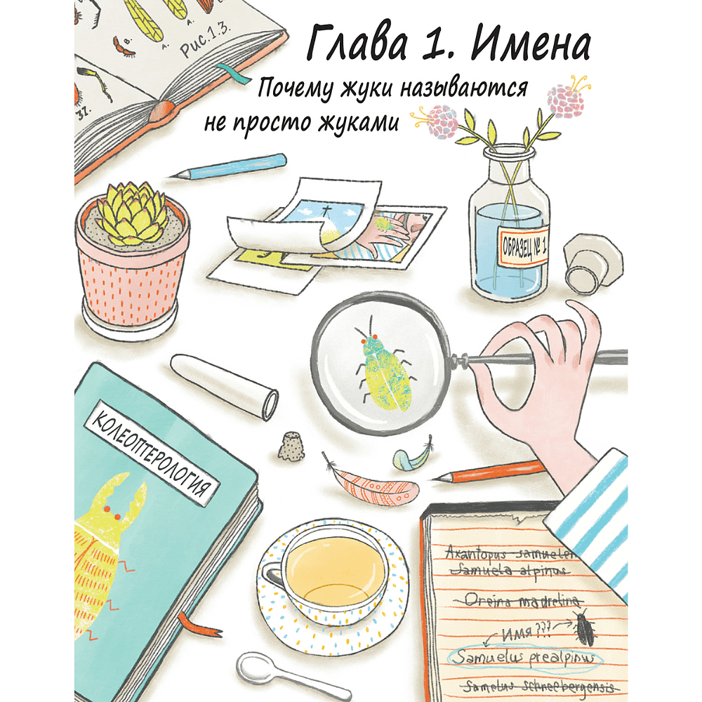 Книга "Сэм и эволюция: Краткая история эволюционной биологии", Андреа Грилль, иллюстрации Раффаэла Шёбиц - 3