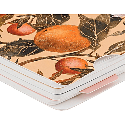 Книга записная "Flora. Paradise. Oranges", A5, 200 листов, клетка, линейка, точка, оранжевый - 3