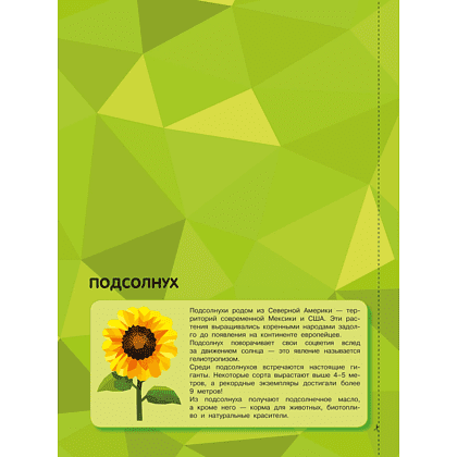 Книга "Рисуем наклейками. Магия цветов" - 7