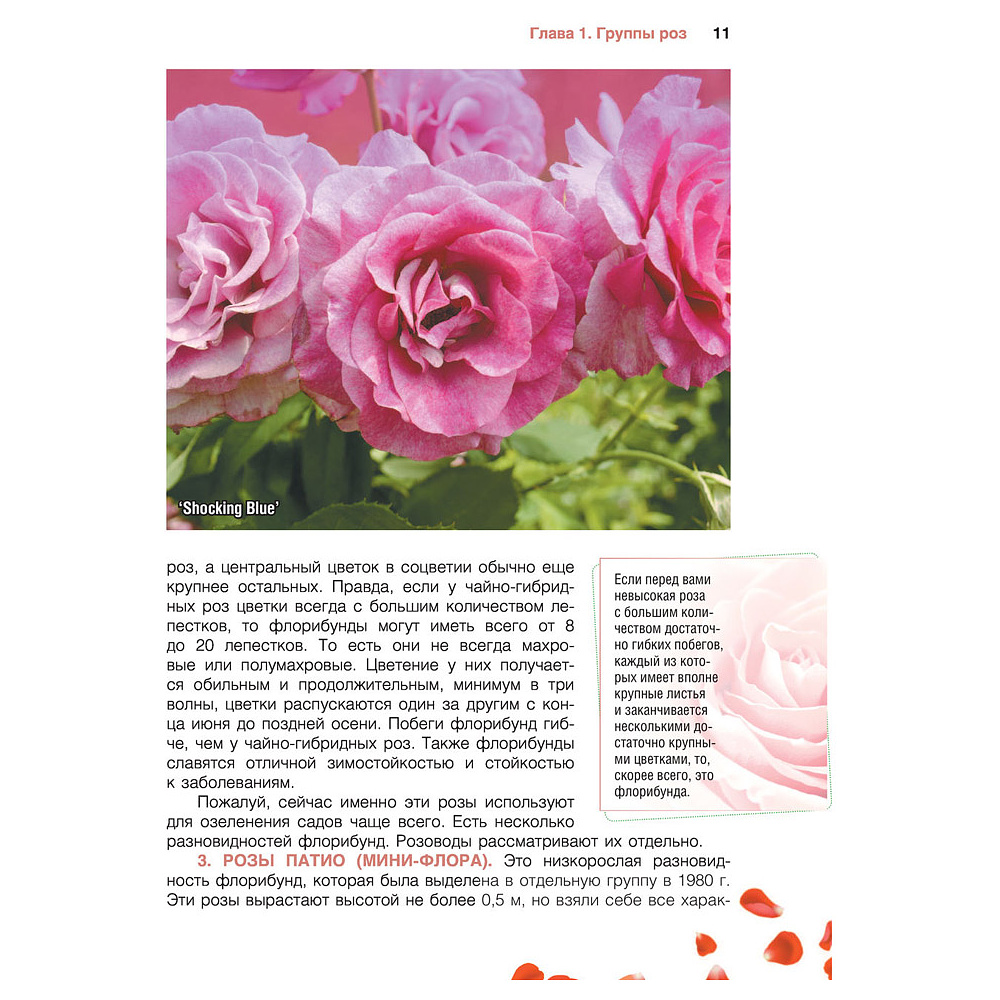 Книга "Сад любимых цветов с Ларисой Кочелаевой", Лариса Кочелаева - 10