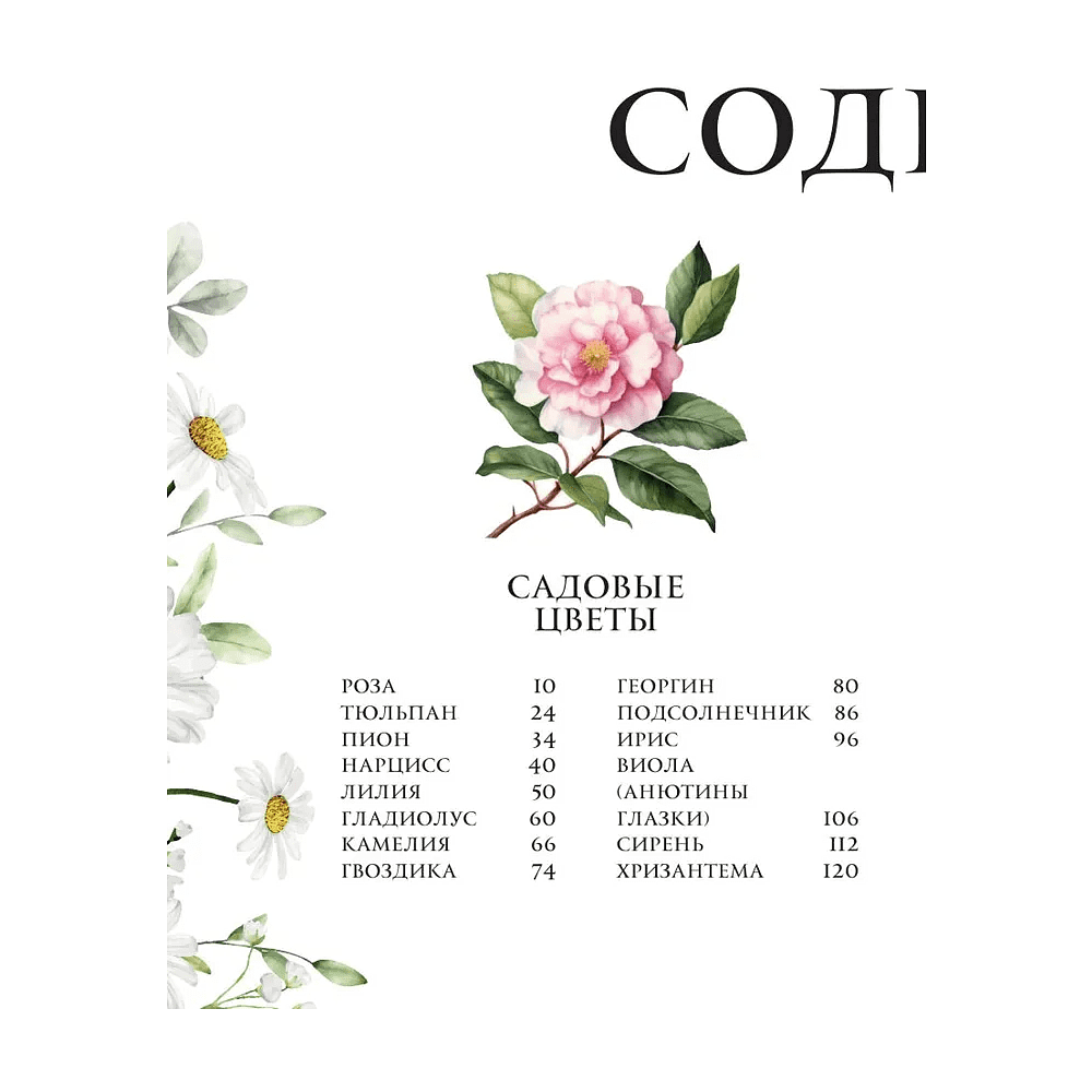 Книга "Цветы в искусстве. Воспевание красоты" - 3 Книга "Цветы в искусстве. Воспевание красоты" - 3