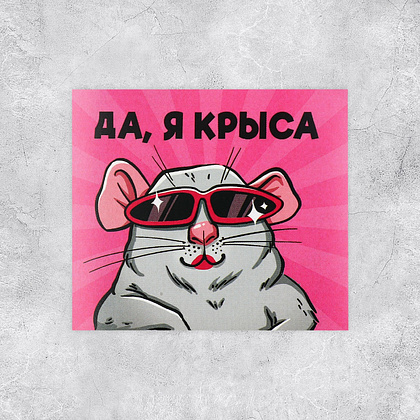 Наклейки декоративные "Ля ты крыса", 10 шт - 3