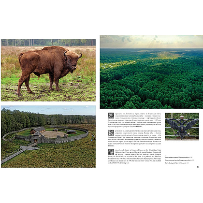 Книга "Наследие Беларуси" на 3 языках, Александр Алексеев, Олег Лукашевич - 4