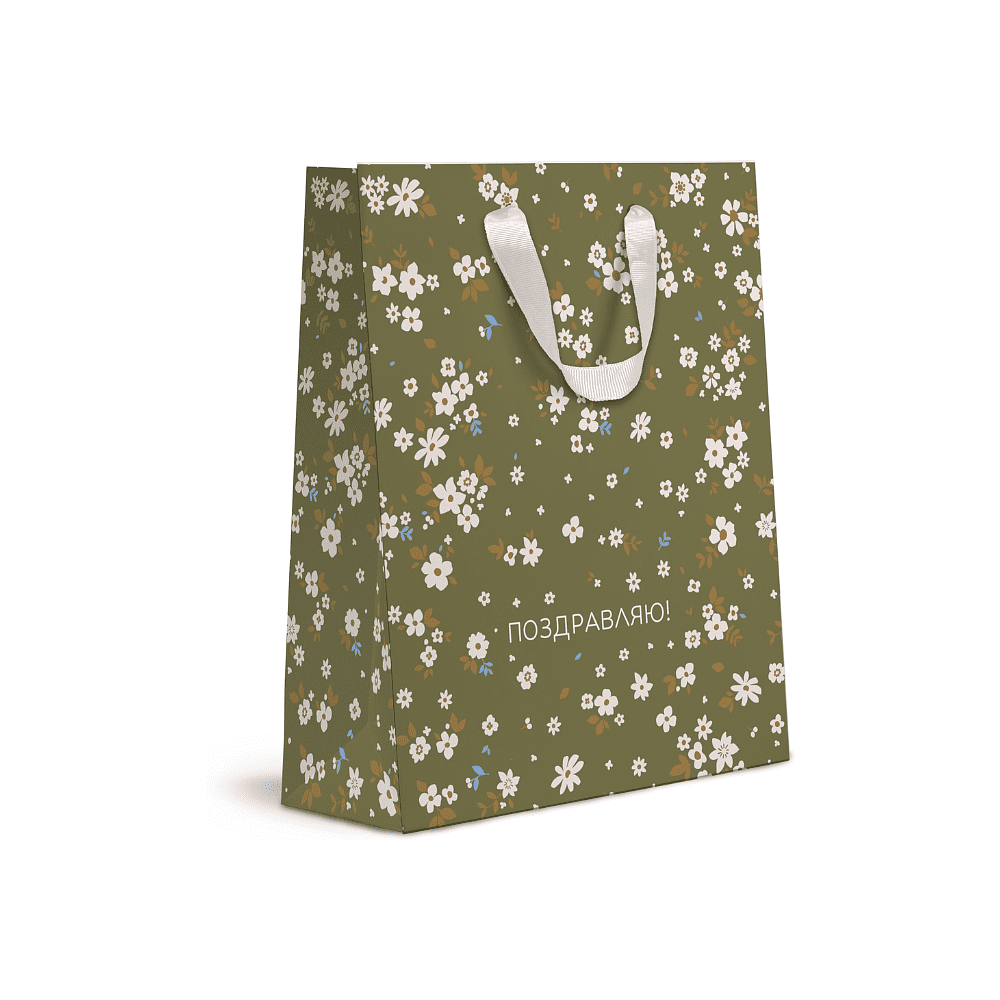 Пакет бумажный подарочный "Cherry Lady",18х22.7х10 см, ассорти - 4