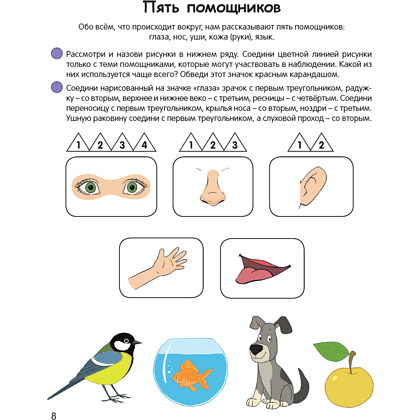 Книга "Умней-ка. 5-6 лет. Экологическая мозаика", Петрикевич А. А. - 5