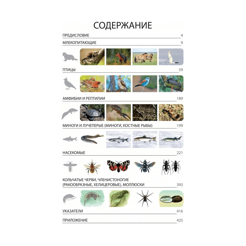 Книга "Красная книга Республики Беларусь. Животные" - 2