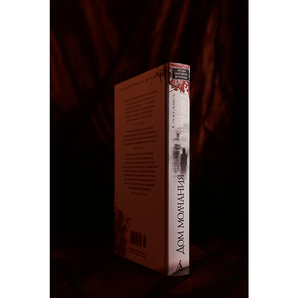 Книга "Дом молчания", Донато Карризи - 6