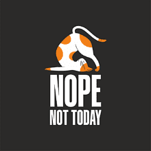 Алюминиевая бутылка "Nope not today", черный