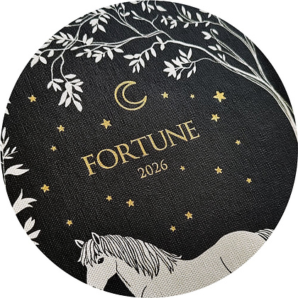 Ежедневник датированный "Fortune" на 2026 год, А5, черный - 3