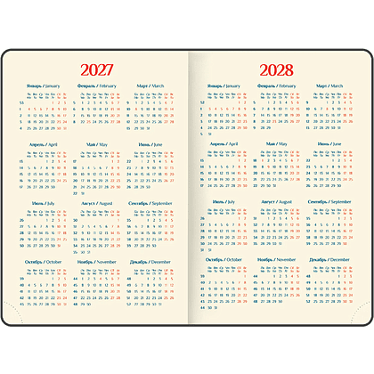 Ежедневник датированный "Infinity Gold" на 2027 год, А5, 352 страницы, линейка - 6
