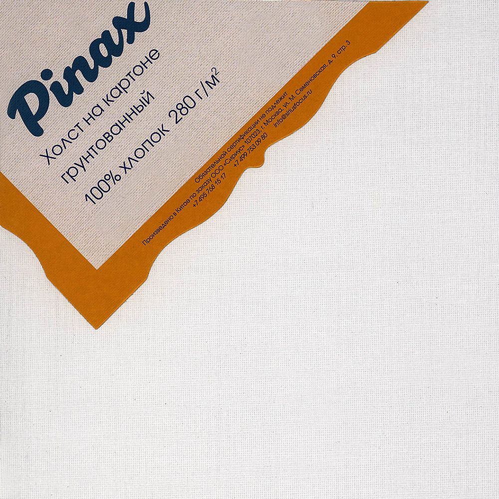 Холст на картоне "Pinax", 50x50 см, хлопок, 280 г/м2 - 2