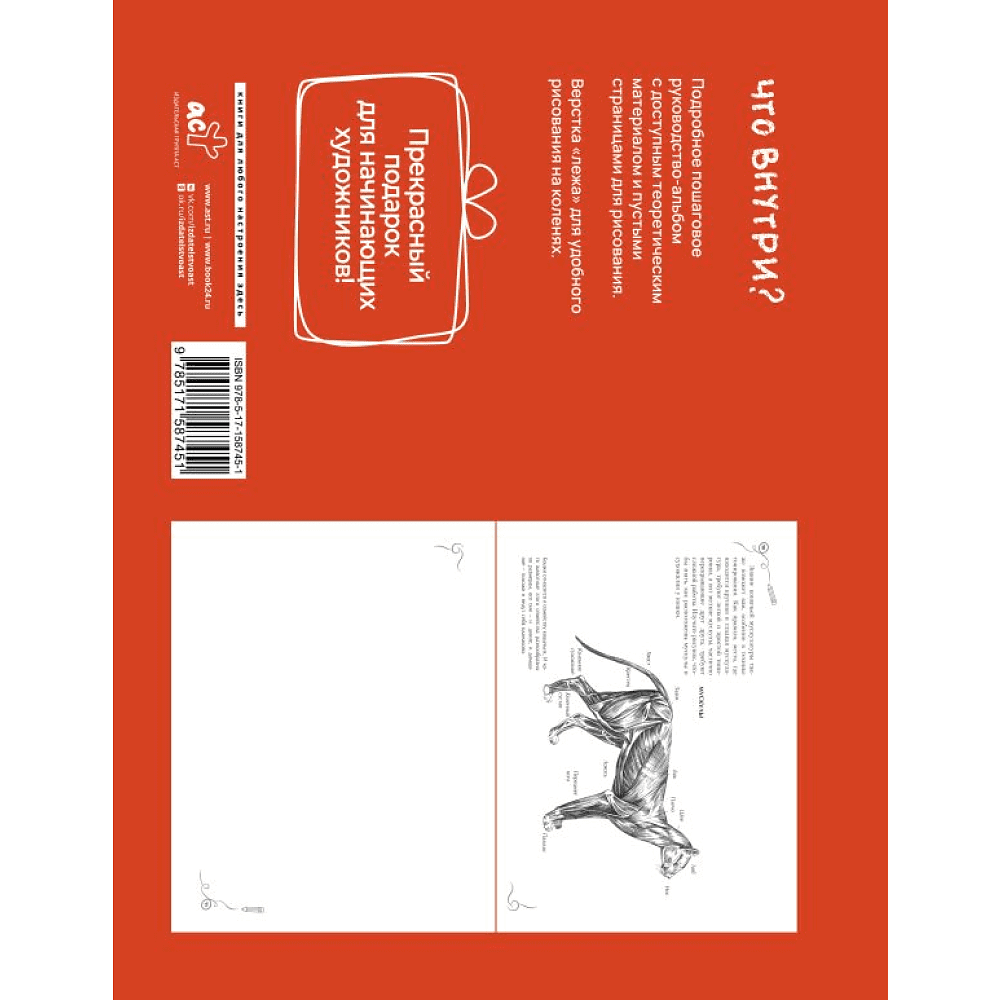 Книга "Анатомия для художников. Экспресс-курс + скетчбук", Walter Foster - 6