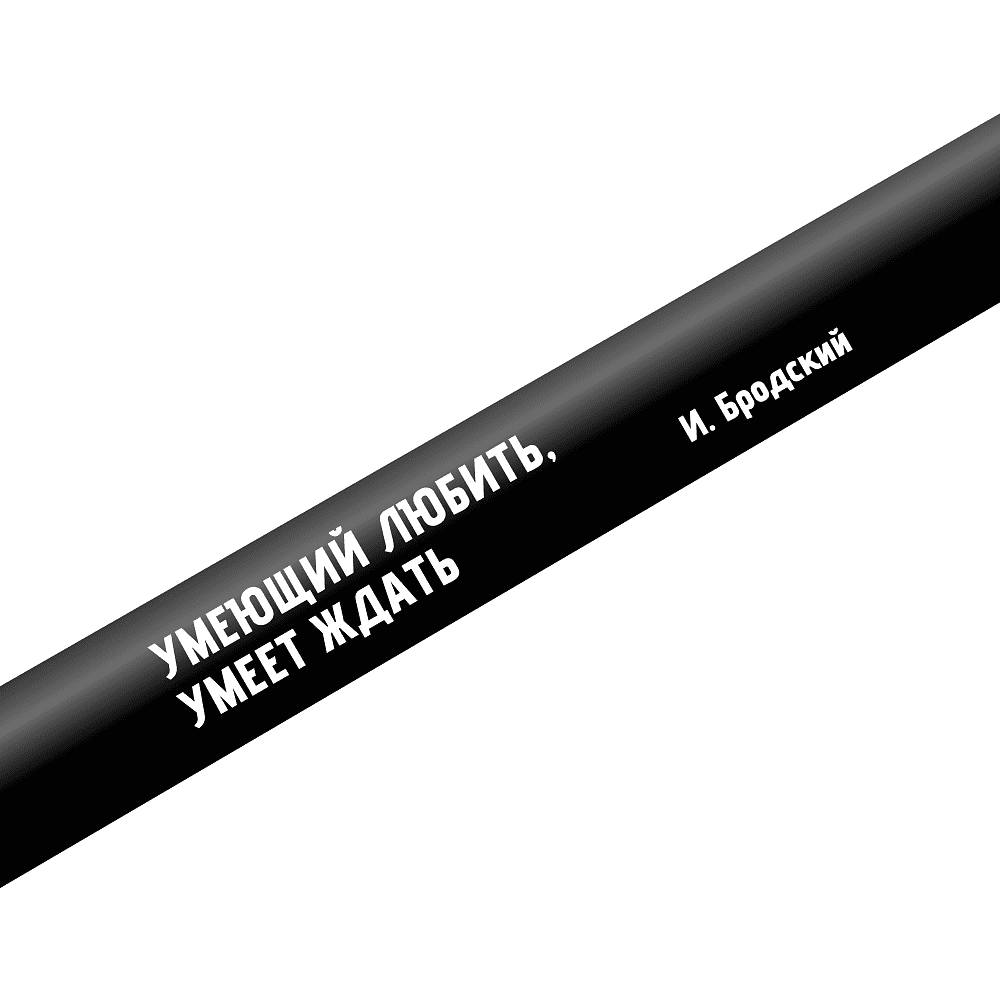 Ручка шариковая автоматическая "Dart Polished. Умеющий любить, умеет ждать", Бродский, 1.0 мм, черный, стерж. синий - 2