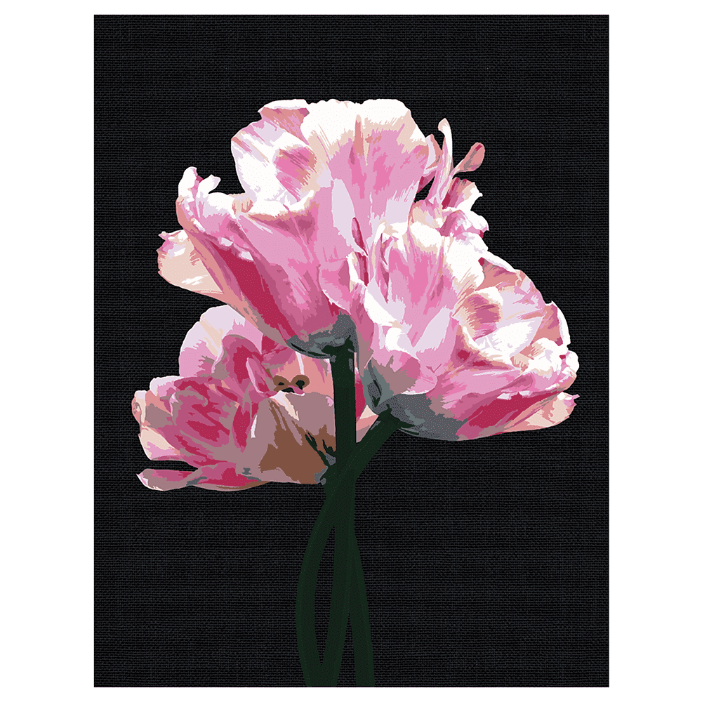 Картина по номерам "Розовые цветы" - 2