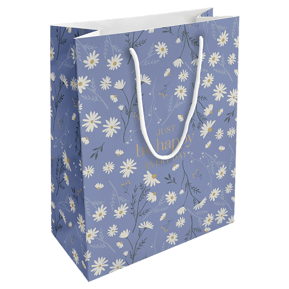 Пакет бумажный подарочный "Fleurs. Ромашки", 25х32х12 см, голубой