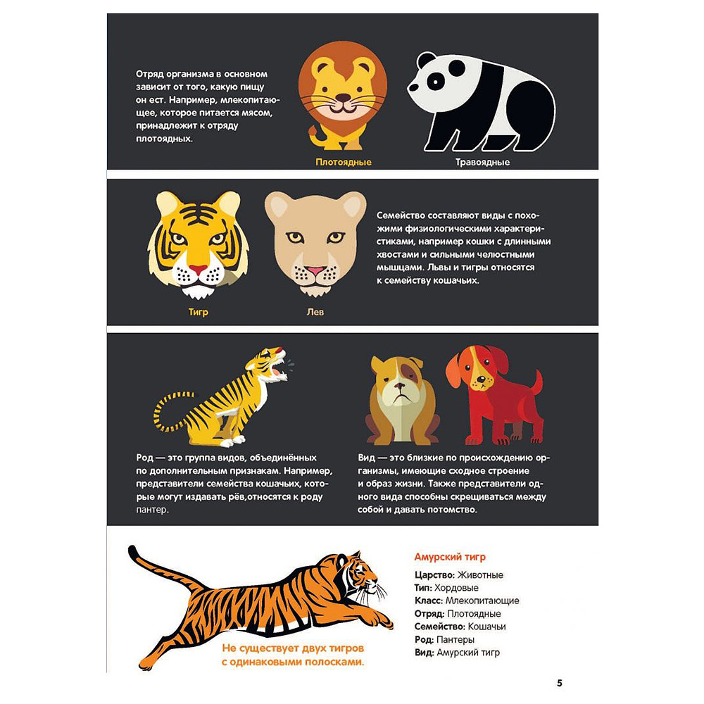 Книга "В мире животных: инфографика", Харриет Брандл - 5
