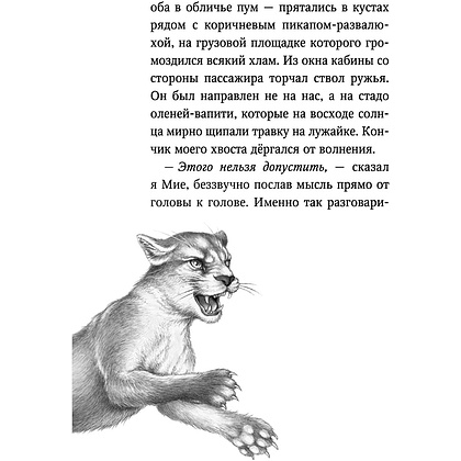 Книга "Караг и волчье испытание (#7)", Катя Брандис - 8