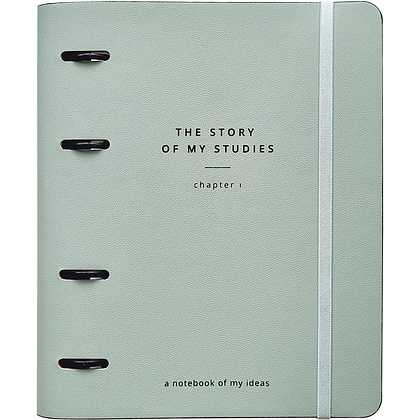 Тетрадь на кольцах "Story", B5, 120 листов, клетка, зеленый