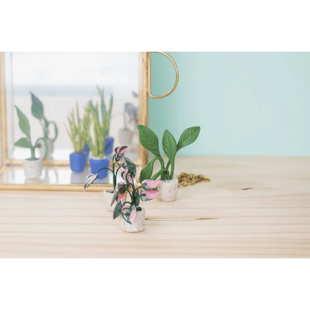 Полимерная глина "Cernit. Starter kit, tiny plants", набор - 3