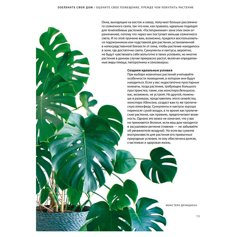 Книга "Как ухаживать за растениями, чтобы они полюбили тебя", Доан М., Хардинг Э. - 10