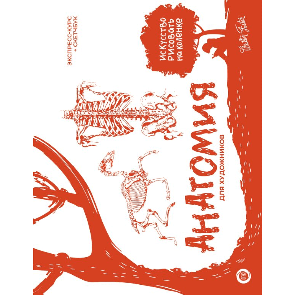 Книга "Анатомия для художников. Экспресс-курс + скетчбук", Walter Foster