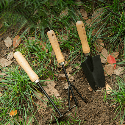 Набор садовых инструментов Deli GS DL580833, 310 мм, 3 шт., деревянная рукоятка - 3 Набор садовых инструментов Deli GS DL580833, 310 мм, 3 шт., деревянная рукоятка - 3