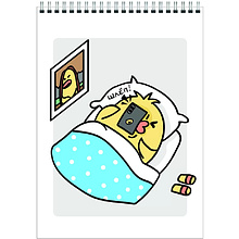 Блокнот "Цып Цыпыч", A5, 60 листов, в клетку, серый