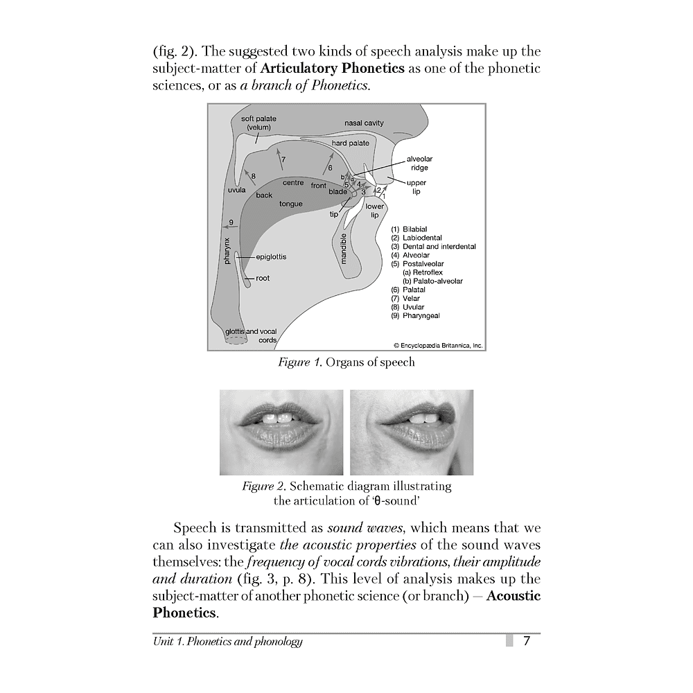 Книга "Английский язык. Курс теоретической фонетики", Карневская Е. Б., Рускевич Л. В. - 6