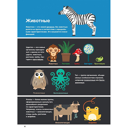 Книга "В мире животных: инфографика", Харриет Брандл - 4
