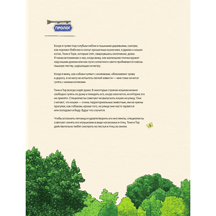 Раскраска "Прогулка с котиками по волшебному Сеулу. Корейская раскраска для души", Джису Пан - 3