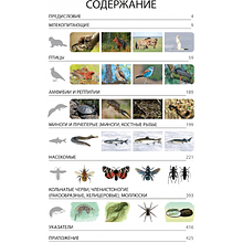 Книга "Красная книга Республики Беларусь. Животные"