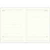 Ежедневник недатированный InFolio "June", А5, 320 страниц, розовый  - 3