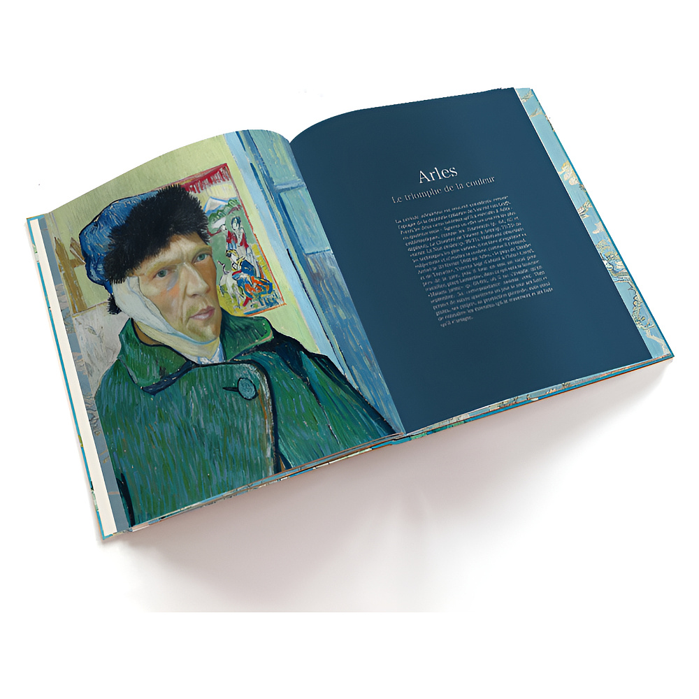 Книга на английском языке "Van Gogh. The Bigger Picture", Anne Sefrioui - 3