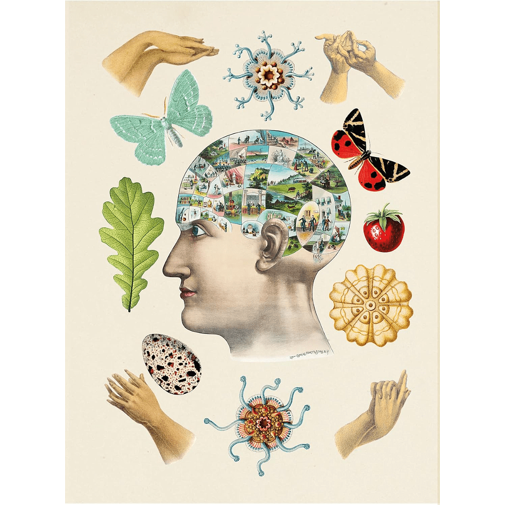 Книга на английском языке "The Antiquarian Sticker Book: An Illustrated Compendium of Adhesive Ephemera", Odd Dot - 4