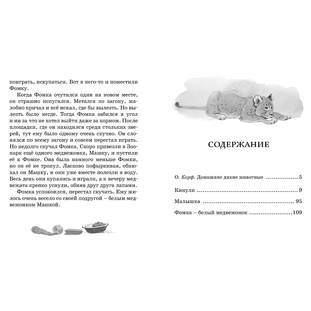 Книга "ЧЛУ. Фомка - белый медвежонок", Вера Чаплина - 2
