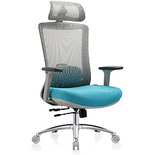 Кресло для руководителя EVOLUTION "ERGO PRIME", ткань, сетка, алюминий, бирюзовый