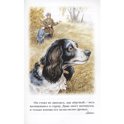 Книга "Детское чтение. Лесной голосок. Рассказы", Георгий Скребицкий - 7
