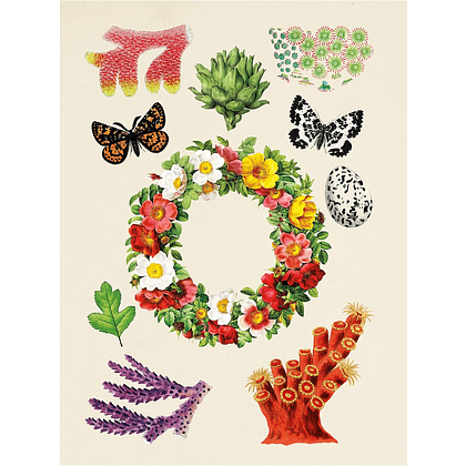 Книга на английском языке "The Antiquarian Sticker Book: An Illustrated Compendium of Adhesive Ephemera", Odd Dot - 3