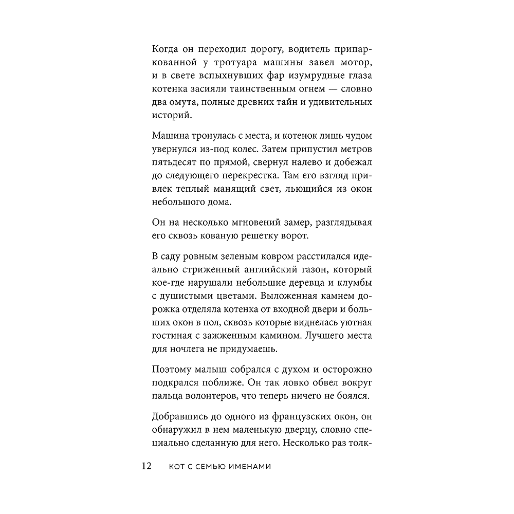 Книга "Кот с семью именами. Счастье приходит к тому, кто верит в чудеса", Федерико Сантаити - 8