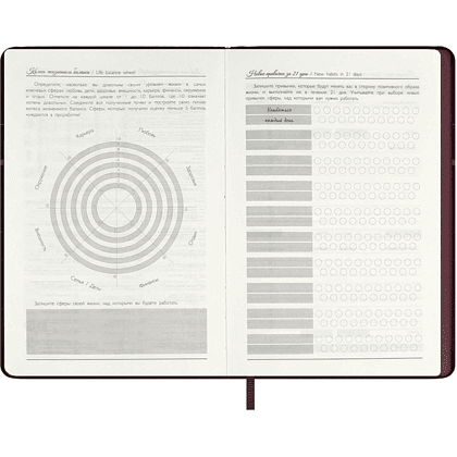 Ежедневник недатированный "Софт-тач", А5, 240 страниц, бордовый - 11